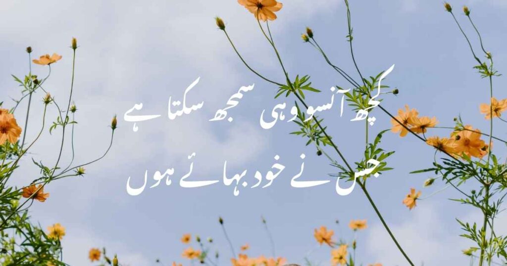 sad quotes in urdu