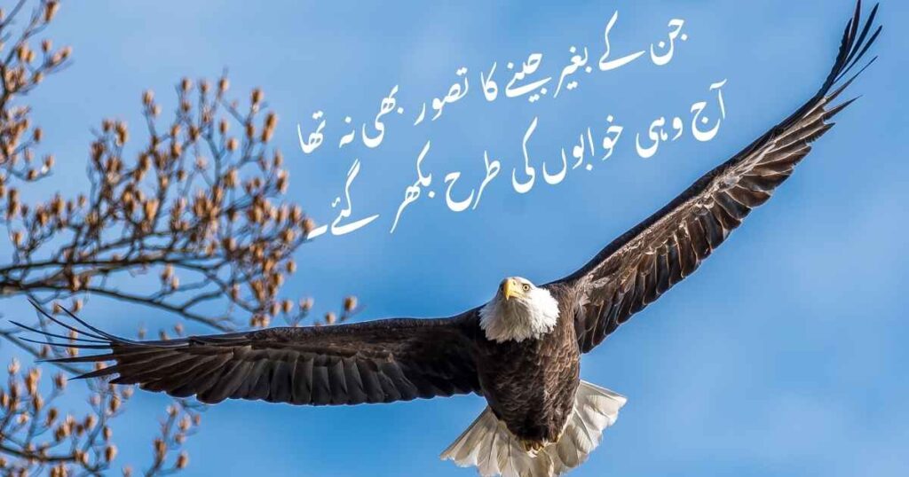 sad shayari in urdu
