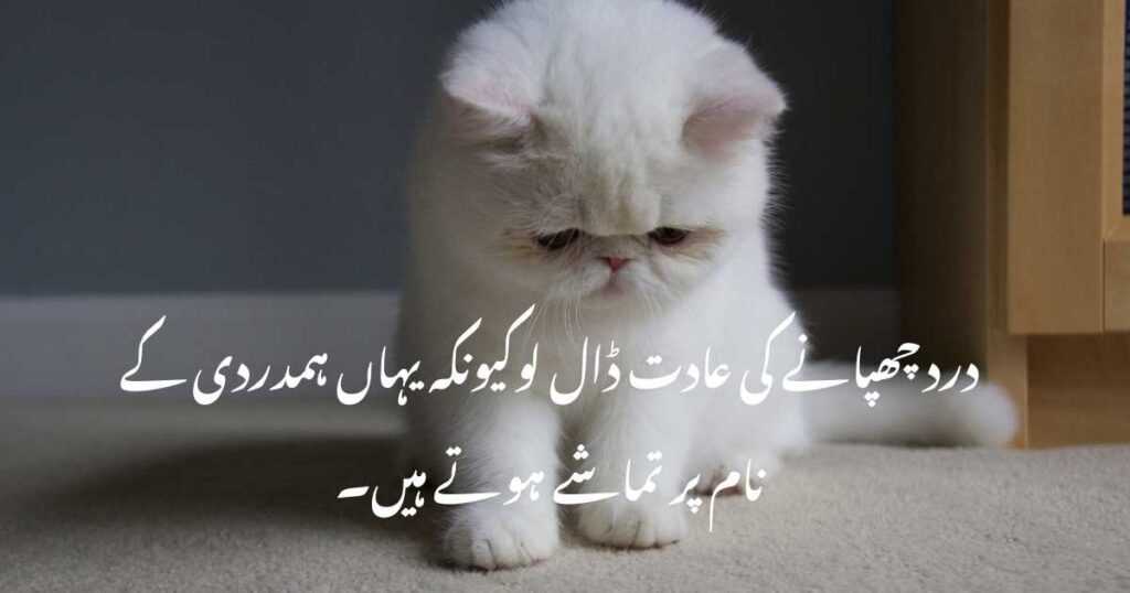 Sad Urdu Quotes