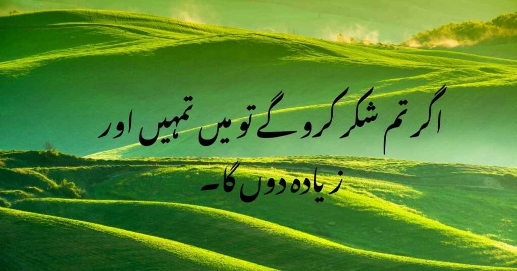 Best Islamic Quotes About Life