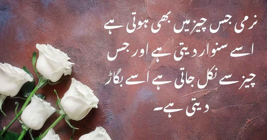Best Islamic Quotes About Life