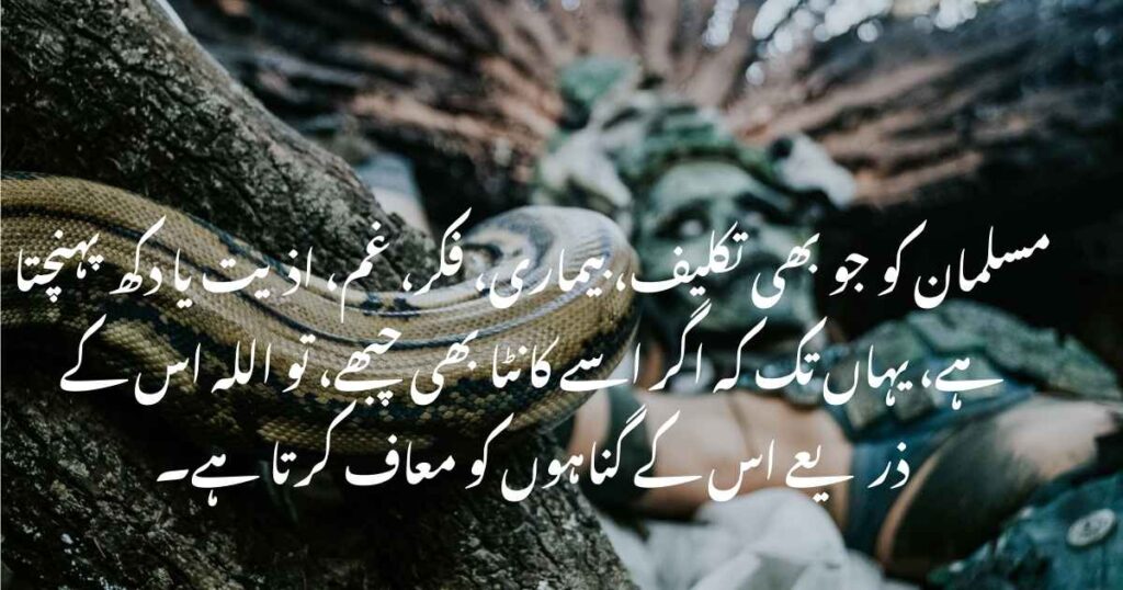 Best Islamic Quotes About Life