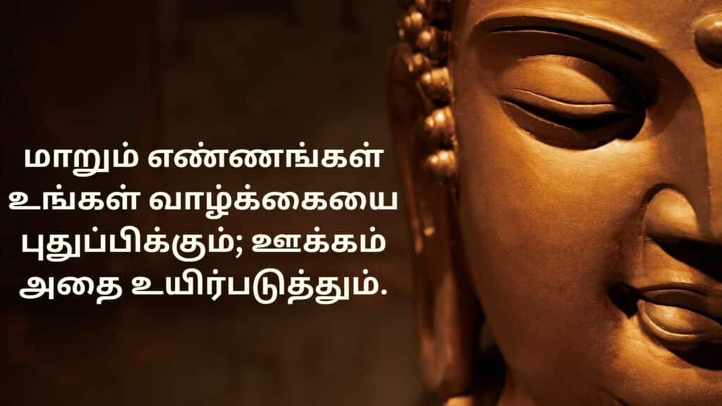 Buddha Quote