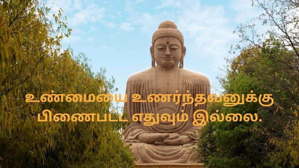 Buddha Tamil Quotes
