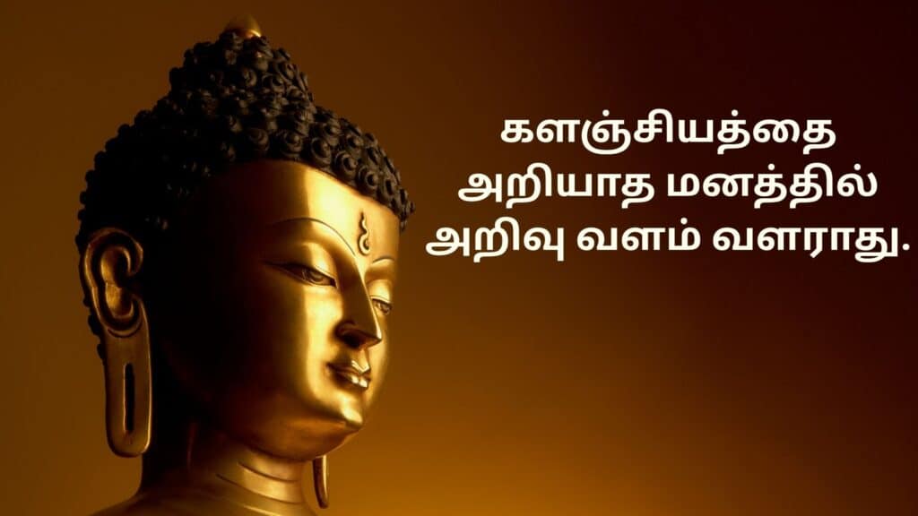 Buddha quotes