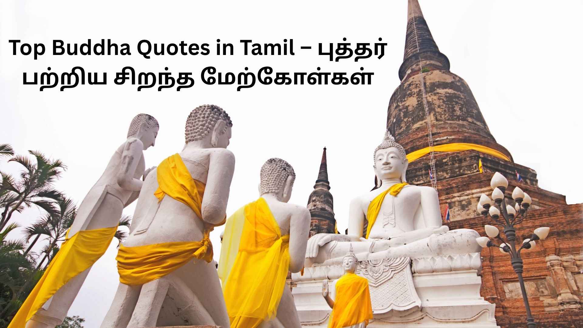 Buddha Tamil quotes