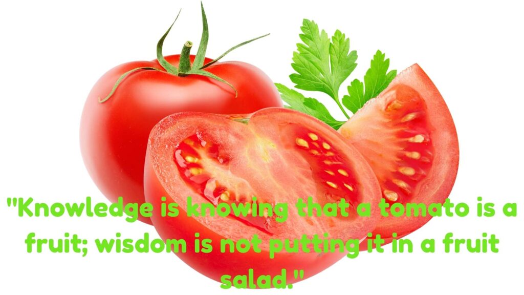 Quotes by Rumi