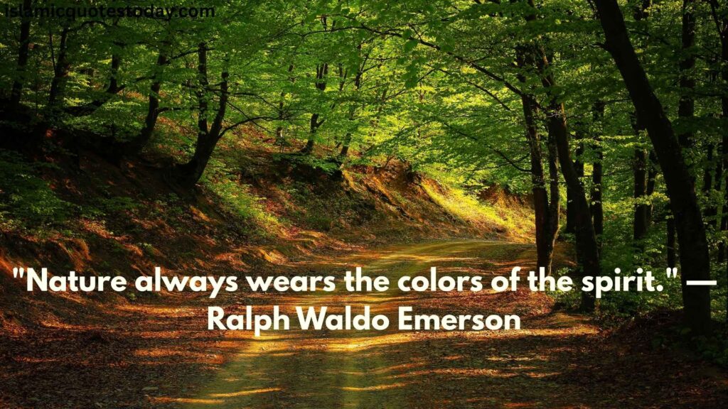 nature love quotes