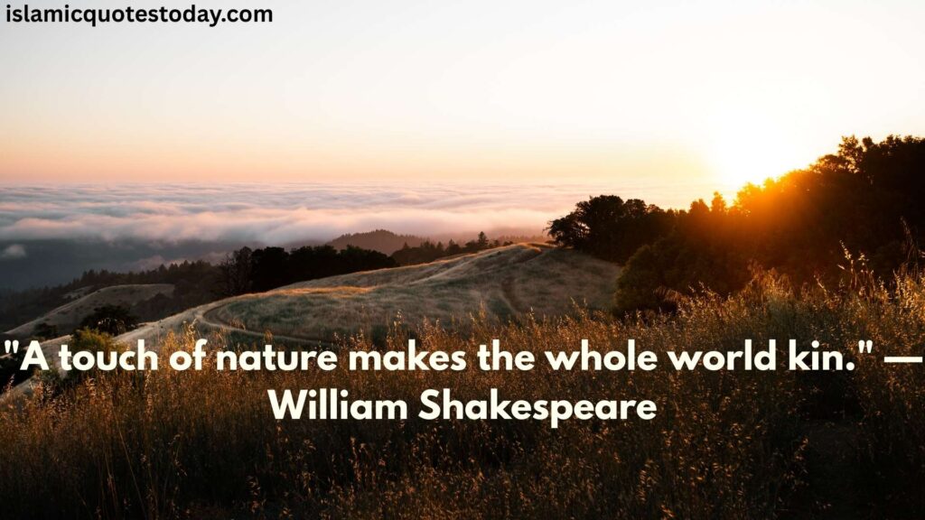 nature beauty quote