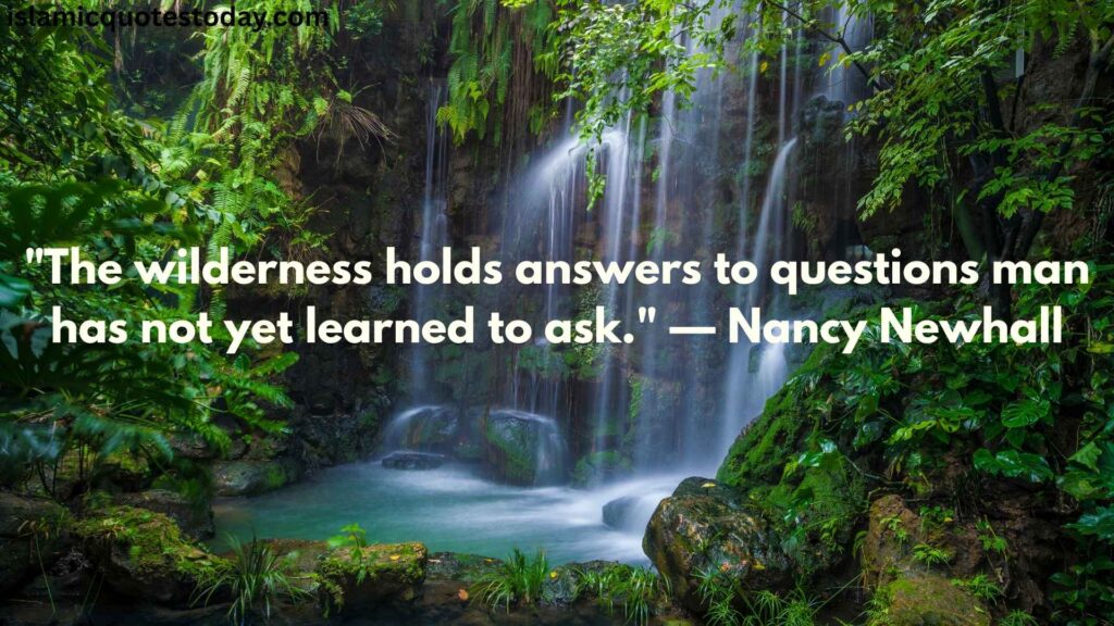 nature and wilderness