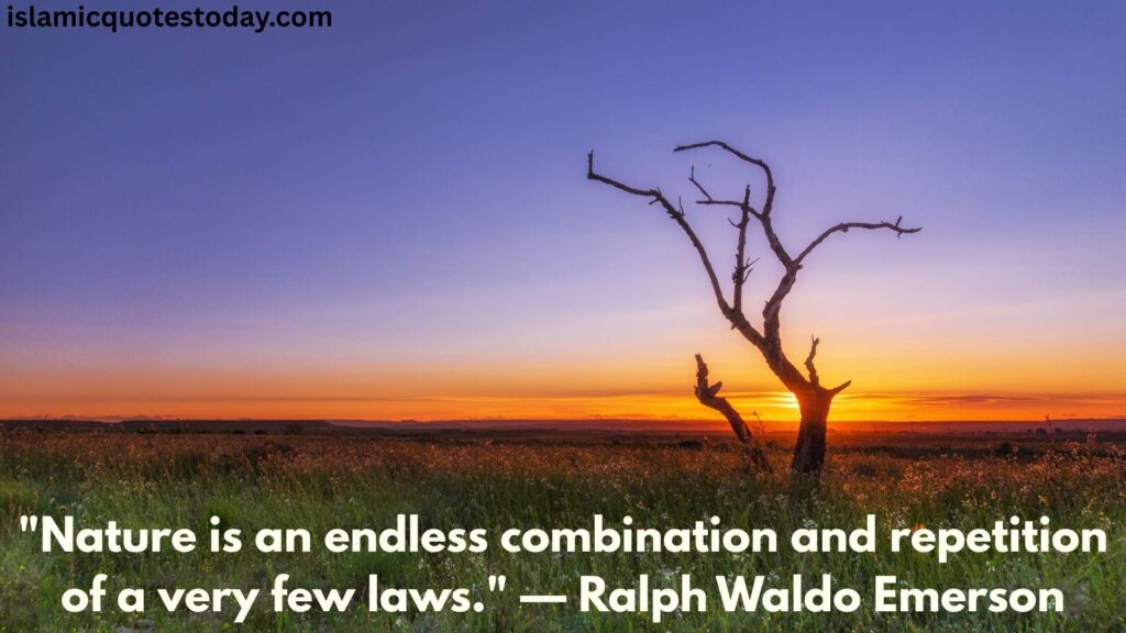 nature and love