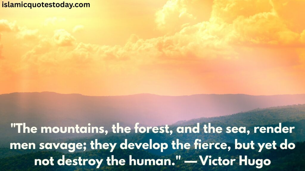 forests , mountains, and sea