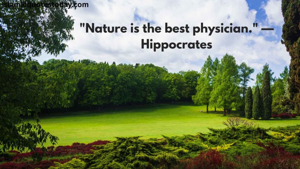 nature love quote
