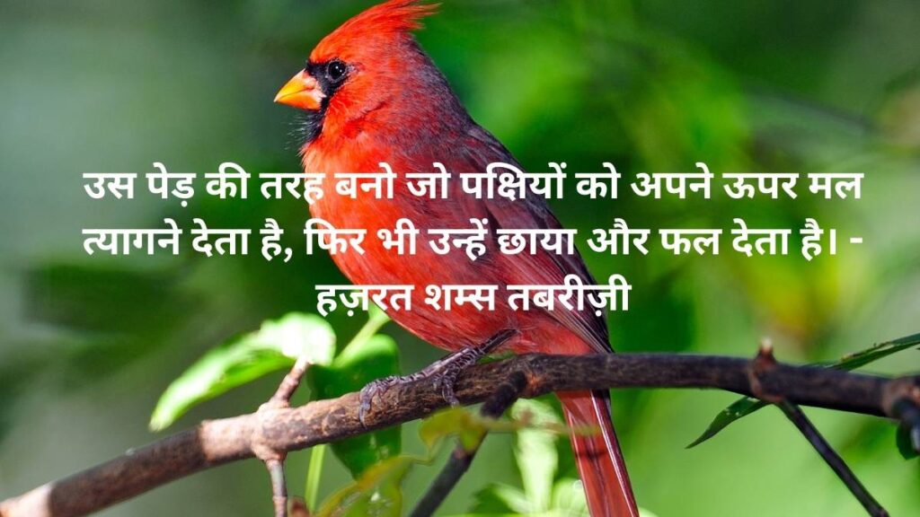 Patience Quotes