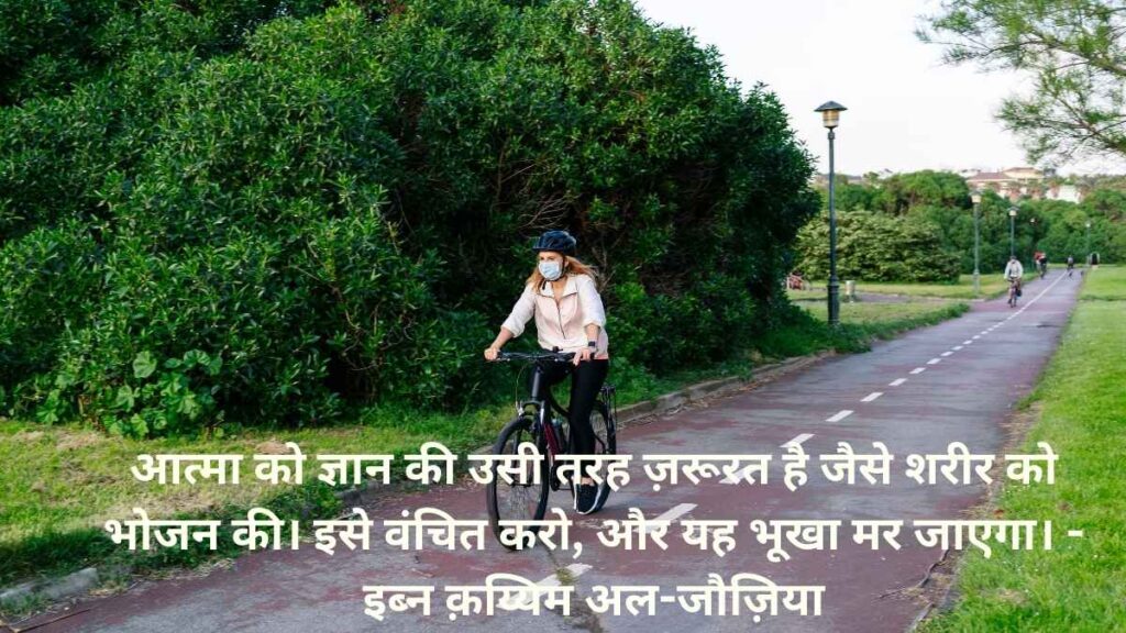 Knowledge Quotes