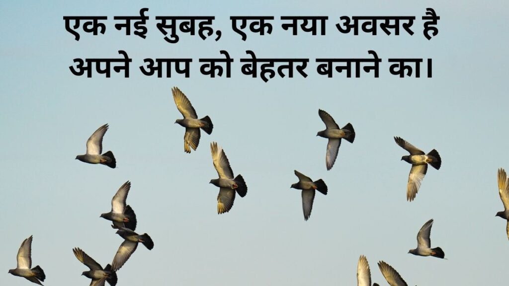 Good Morning Quotes