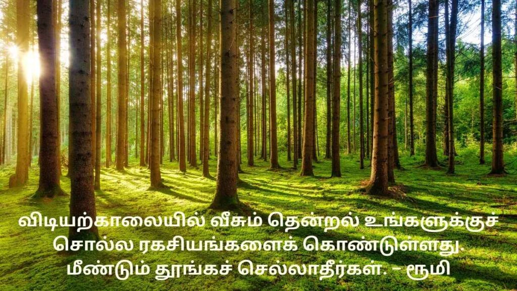 Good Morning Quotes In Tamil