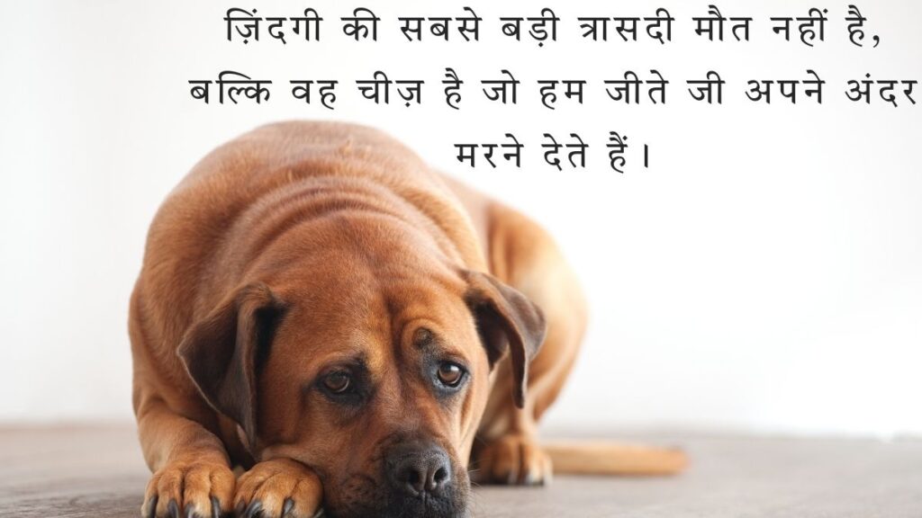 Sad Unique Quotes on Life